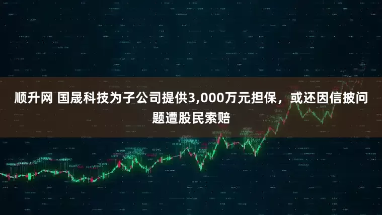 顺升网 国晟科技为子公司提供3,000万元担保，或还因信披问题遭股民索赔
